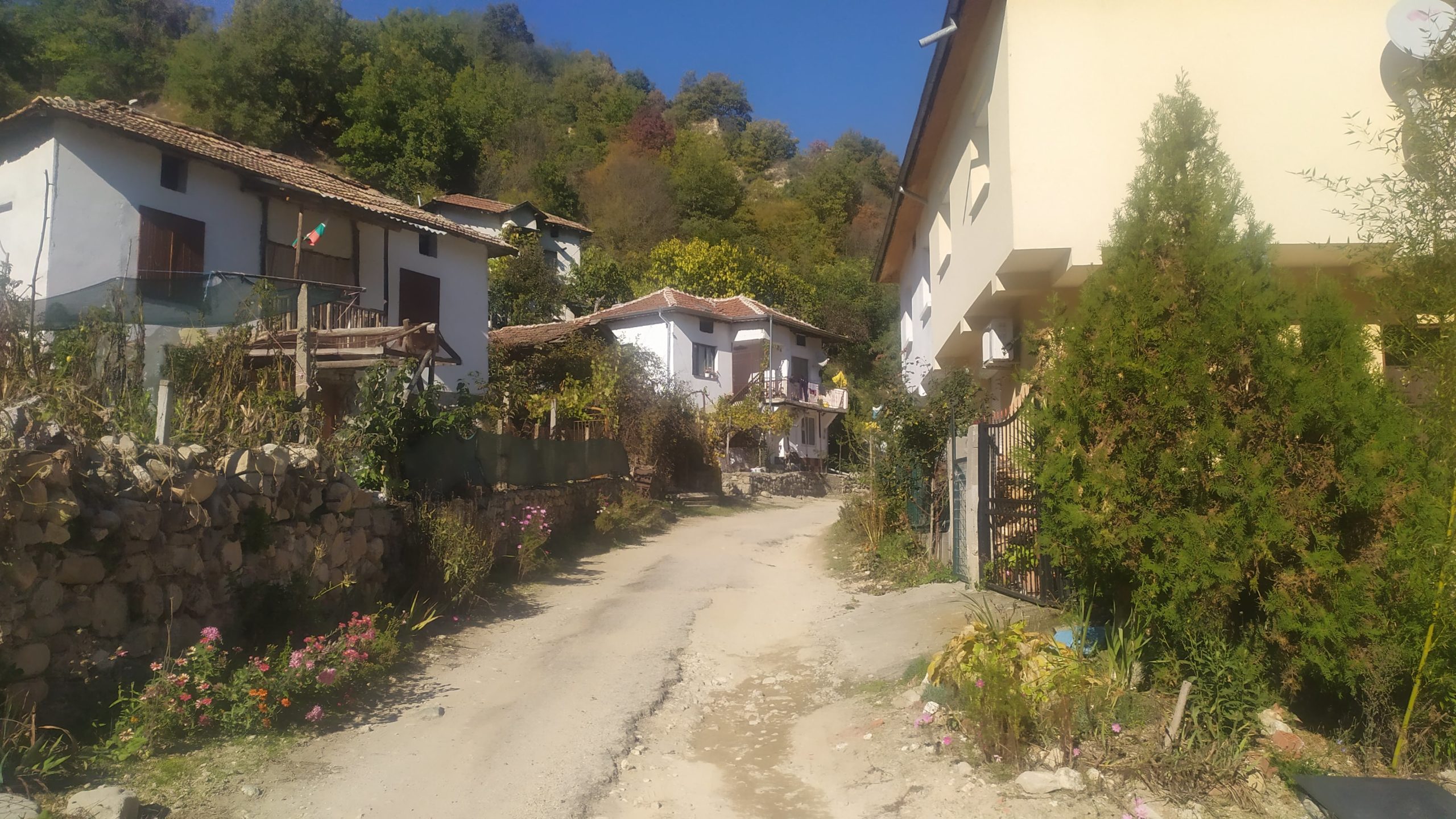 Un petit village avec des maisons entourées d'arbres où il est difficile de se repérer