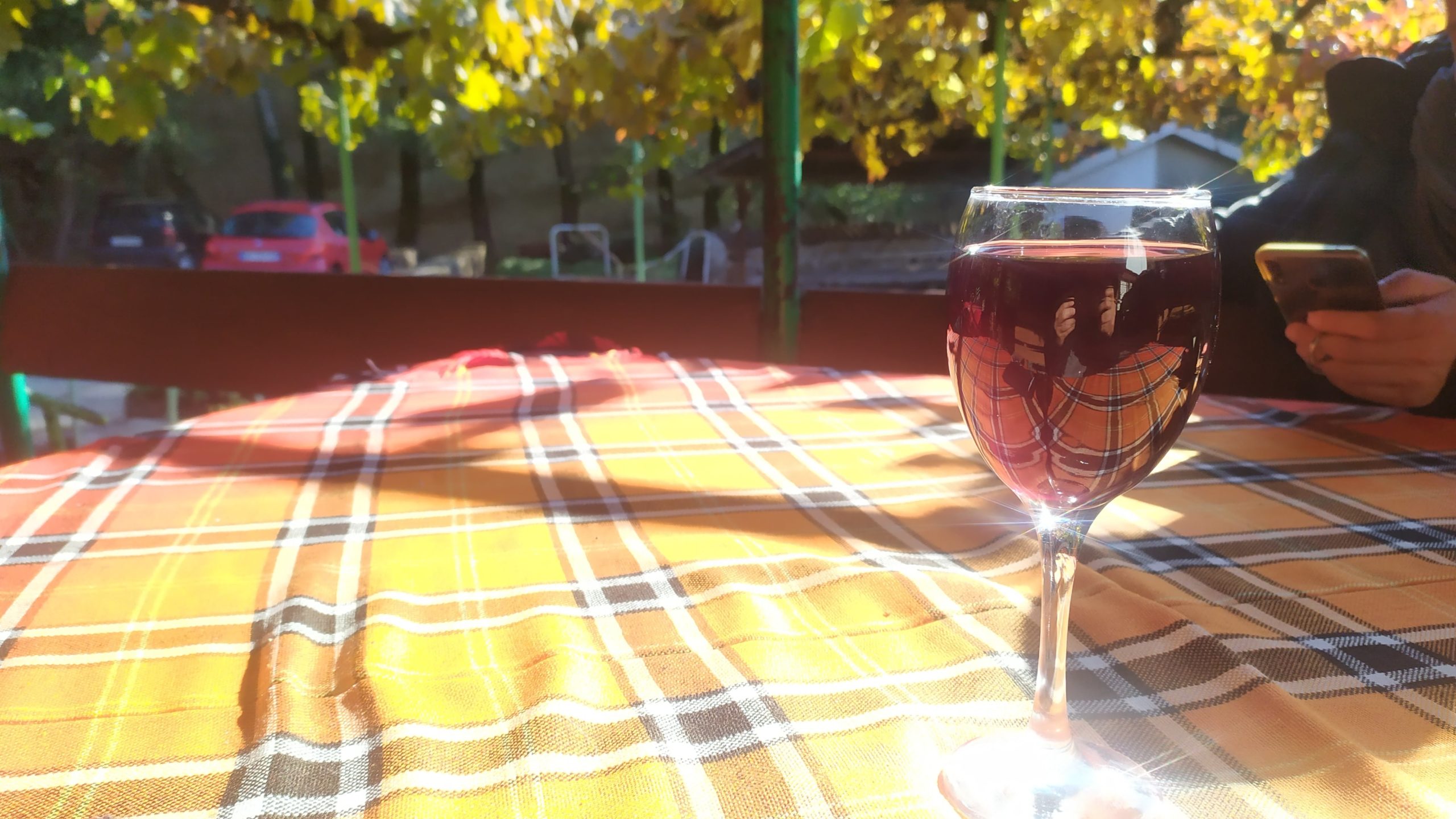 Un verre de vin très clair et très fort trône sur une table ensoleillée