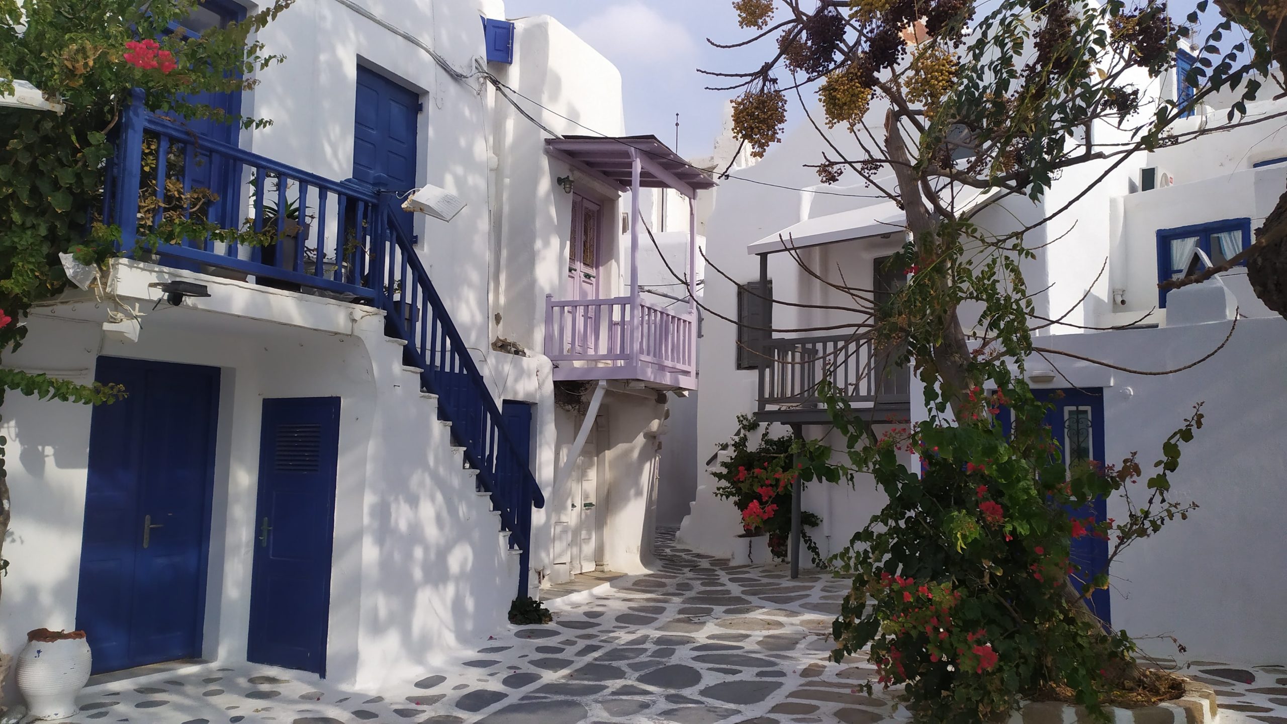 Les ruelles de Mykonos aux couleurs blanches et bleues 