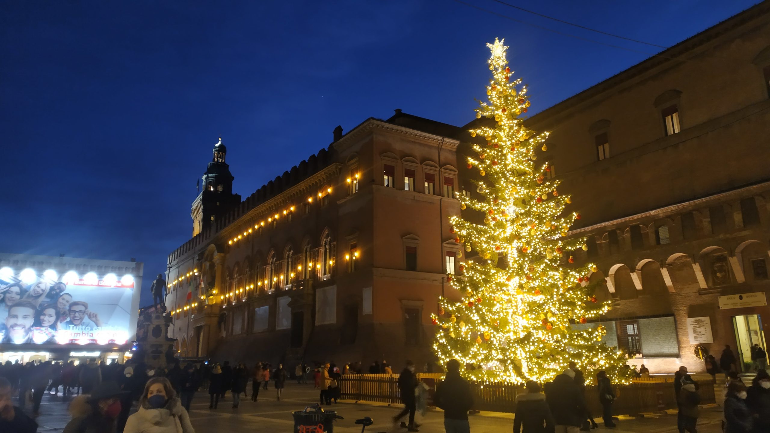 sapin de Noël illuminé de lumières dorées sur la place de Bologne 