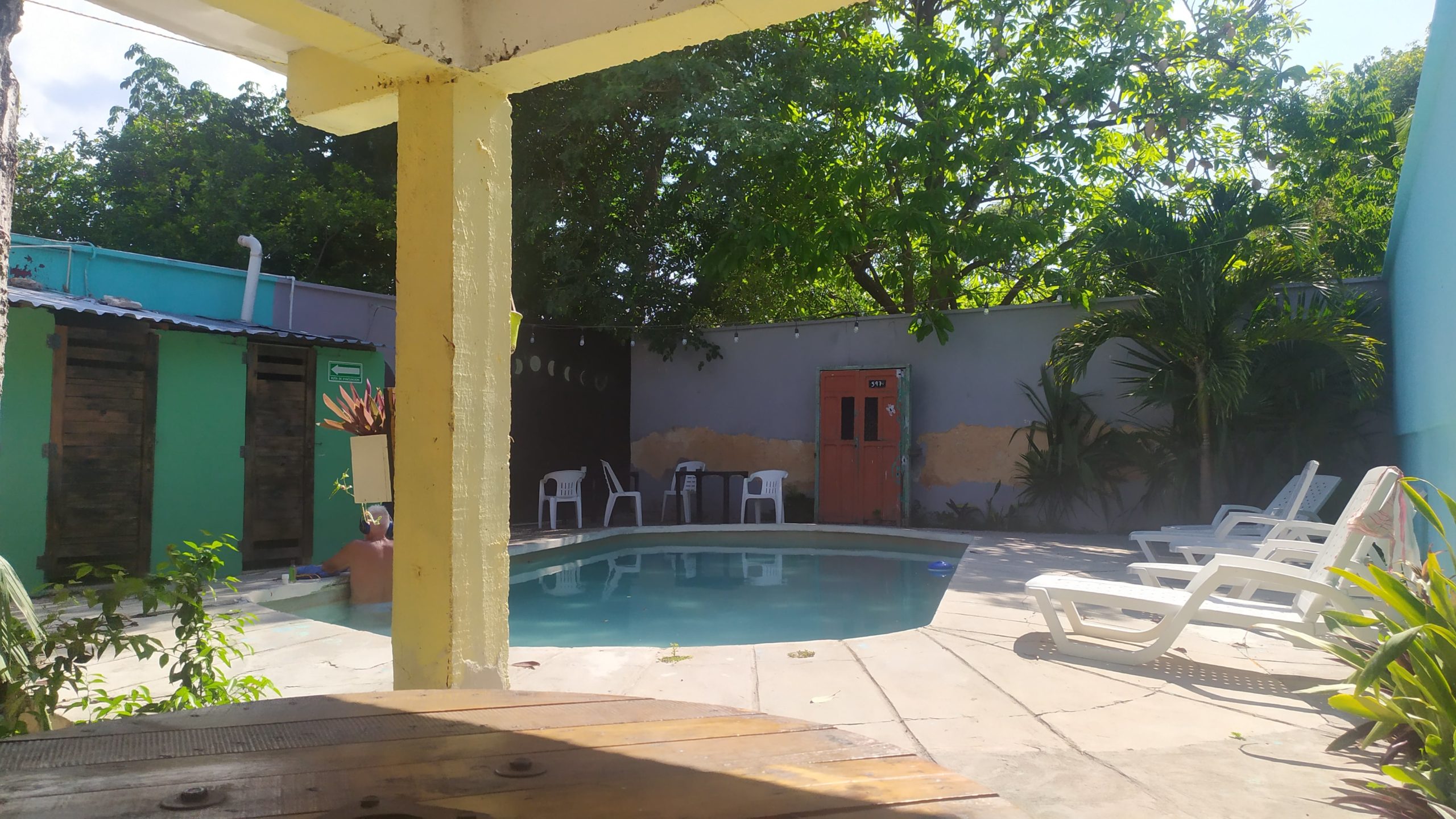 la piscine de l'hostel entourée d'arbres et de transats